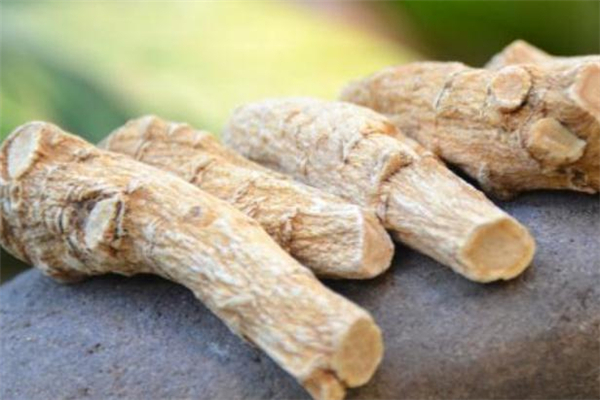 西洋參可以改善記憶力嗎 西洋參泡水喝能增強(qiáng)記憶力嗎 西洋參可以改善記憶力嗎 西洋參泡水喝能增強(qiáng)記憶力嗎