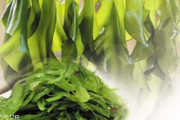 裙帶菜是什么 裙帶菜有什么功效 裙帶菜是什么 裙帶菜有什么功效