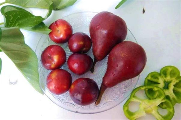 紅啤梨放軟了才能吃嗎 紅啤梨放幾天會變軟嗎 紅啤梨放軟了才能吃嗎 紅啤梨放幾天會變軟嗎