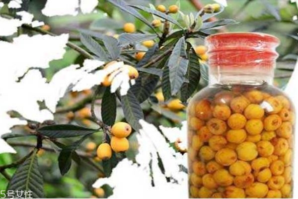 枇杷一般成熟在什么月份 枇杷有什么功效呢 枇杷一般成熟在什么月份 枇杷有什么功效呢