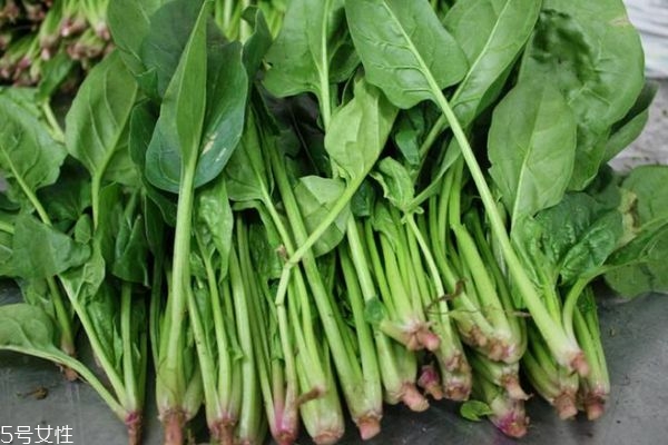 菠菜有什么功效 菠菜的營養(yǎng)價(jià)值是什么 菠菜有什么功效 菠菜的營養(yǎng)價(jià)值是什么