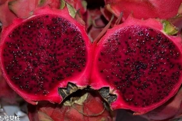 火龍果有什么作用 為什么火龍果吃了會拉肚子 火龍果有什么作用 為什么火龍果吃了會拉肚子