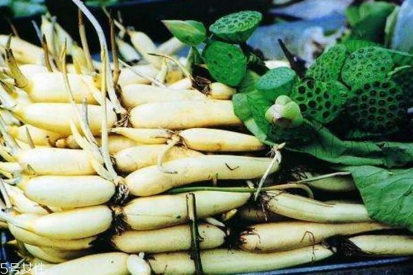 蓮藕有什么作用呢 蓮藕的功效有什么呢 蓮藕有什么作用呢 蓮藕的功效有什么呢