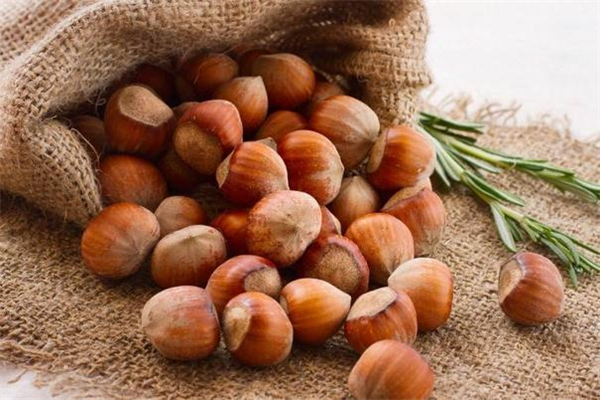 榛子和榴蓮能一起吃嗎 吃完榴蓮可以吃榛子嗎 榛子和榴蓮能一起吃嗎 吃完榴蓮可以吃榛子嗎