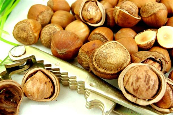 寶寶可以吃榛子嗎 寶寶多大可以吃榛子 寶寶可以吃榛子嗎 寶寶多大可以吃榛子