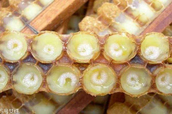 蜂王漿的功效有什么呢 蜂王漿應該怎么儲藏呢 蜂王漿的功效有什么呢 蜂王漿應該怎么儲藏呢