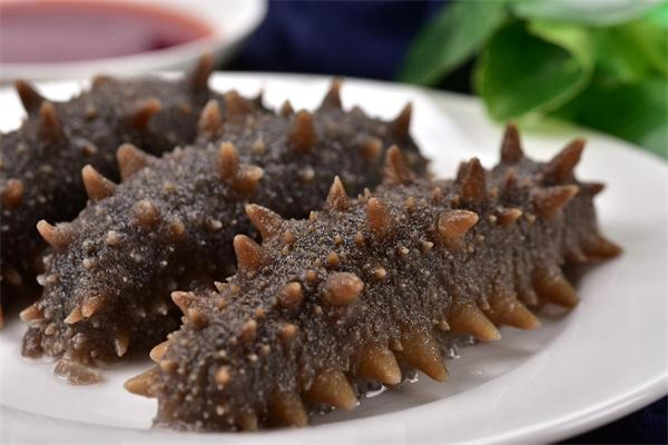 三伏天可以吃海參嗎 三伏天吃海參好嗎 三伏天可以吃海參嗎 三伏天吃海參好嗎