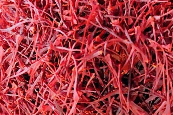 藏紅花變質(zhì)什么樣子 怎么看藏紅花有沒有變質(zhì) 藏紅花變質(zhì)什么樣子 怎么看藏紅花有沒有變質(zhì)