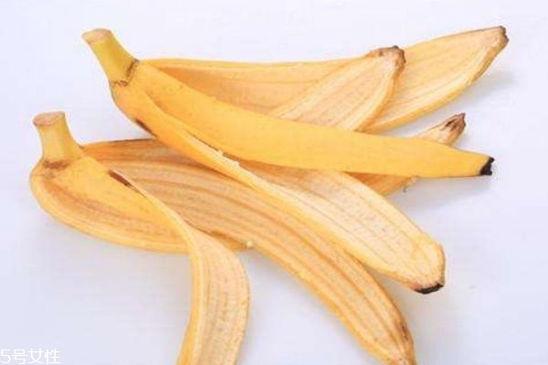 香蕉皮可以吃嗎 香蕉皮有什么用呢 香蕉皮可以吃嗎 香蕉皮有什么用呢