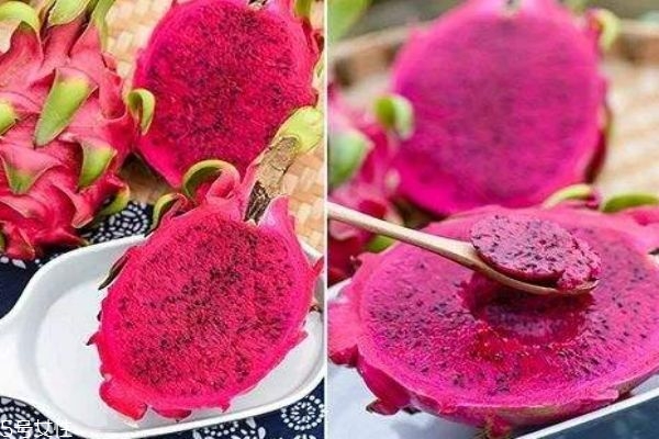 火龍果的熱量有多高呢 火龍果有什么價(jià)值呢 火龍果的熱量有多高呢 火龍果有什么價(jià)值呢