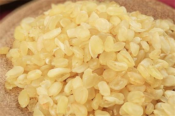 皂角米一次要泡幾粒 皂角米泡了三天能吃嗎 皂角米一次要泡幾粒 皂角米泡了三天能吃嗎