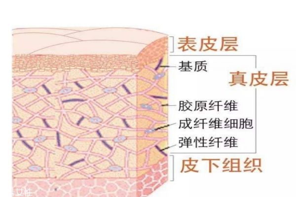 什么是嗨體呢 嗨體有什么作用呢 什么是嗨體呢 嗨體有什么作用呢