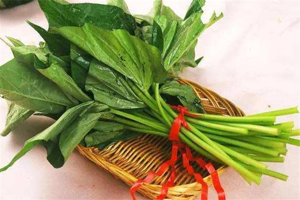 紅薯葉沒(méi)熟能吃嗎 紅薯葉沒(méi)炒熟會(huì)中毒嗎