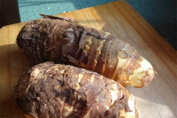 芋頭發(fā)霉了還能吃嗎 發(fā)霉的芋頭吃了會(huì)怎樣 芋頭發(fā)霉了還能吃嗎 發(fā)霉的芋頭吃了會(huì)怎樣