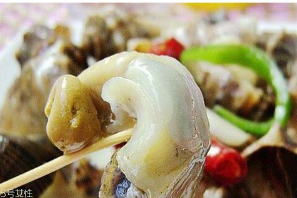 海螺生活在哪里呢 海螺有什么營養(yǎng)價(jià)值嗎 海螺生活在哪里呢 海螺有什么營養(yǎng)價(jià)值嗎