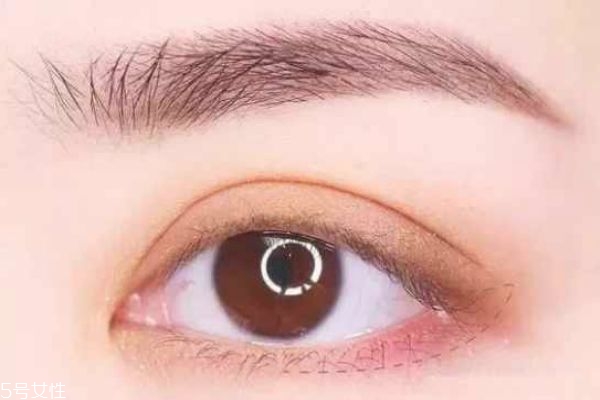 雙眼皮怎么畫眼影好看 雙眼皮畫眼影教程 雙眼皮怎么畫眼影好看 雙眼皮畫眼影教程