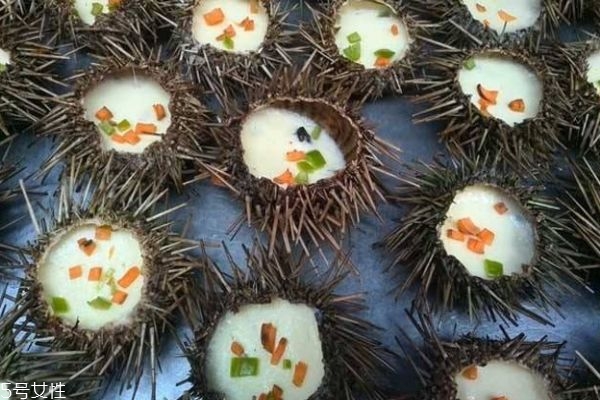 海膽生活在什么地方呢 海膽有什么營養(yǎng)價值呢 海膽生活在什么地方呢 海膽有什么營養(yǎng)價值呢