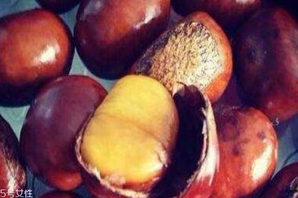 板栗酒有什么作用呢 板栗酒怎么做呢 板栗酒有什么作用呢 板栗酒怎么做呢