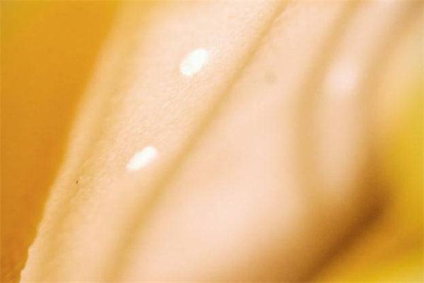 nike alphadunk開箱測評 耐克alphadunk配置怎么樣 nike alphadunk開箱測評 耐克alphadunk配置怎么樣