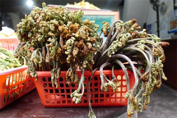 吃蕨菜過敏有什么癥狀 吃蕨菜過敏了怎么辦 吃蕨菜過敏有什么癥狀 吃蕨菜過敏了怎么辦