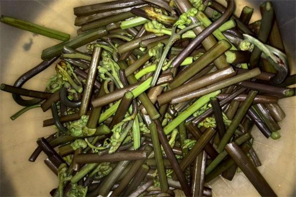 哺乳期可以吃蕨菜嗎 哺乳期吃蕨菜會(huì)回奶嗎 哺乳期可以吃蕨菜嗎 哺乳期吃蕨菜會(huì)回奶嗎