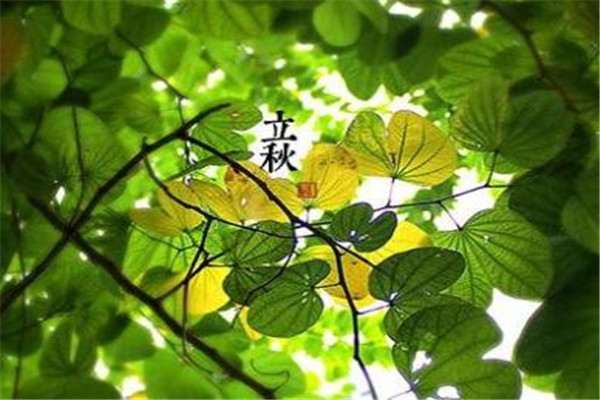 立秋能喝涼水嗎 立秋應(yīng)該少喝涼水 立秋能喝涼水嗎 立秋應(yīng)該少喝涼水