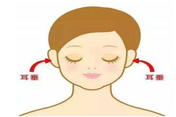 什么是豐耳垂呢 如何豐耳垂呢 什么是豐耳垂呢 如何豐耳垂呢