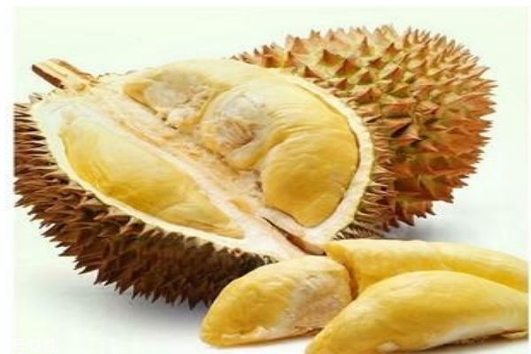 榴蓮的營養(yǎng)價值有什么呢 吃榴蓮有什么好處呢 榴蓮的營養(yǎng)價值有什么呢 吃榴蓮有什么好處呢
