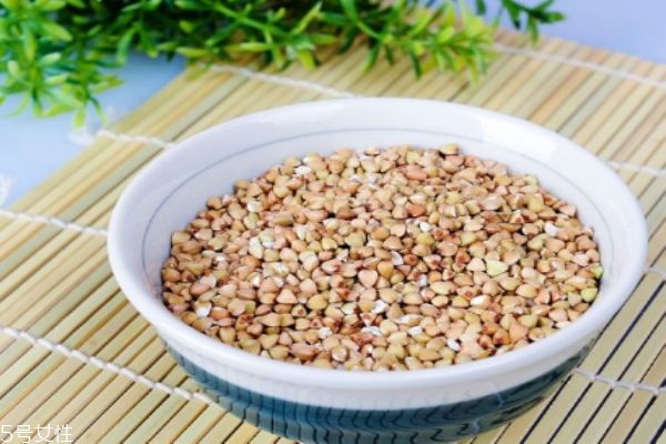 孕婦可以吃蕎麥嗎 吃蕎麥有什么注意事項嗎 孕婦可以吃蕎麥嗎 吃蕎麥有什么注意事項嗎