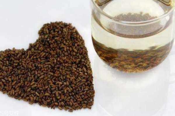 什么是決明子呢 決明子有什么用呢 什么是決明子呢 決明子有什么用呢