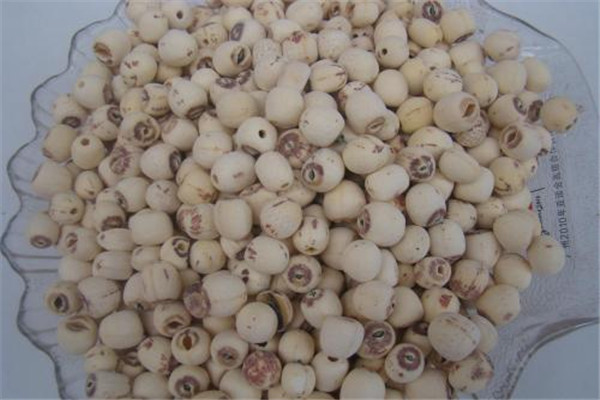 蓮子吃了會脹氣嗎 蓮子會造成脹氣嗎 蓮子吃了會脹氣嗎 蓮子會造成脹氣嗎