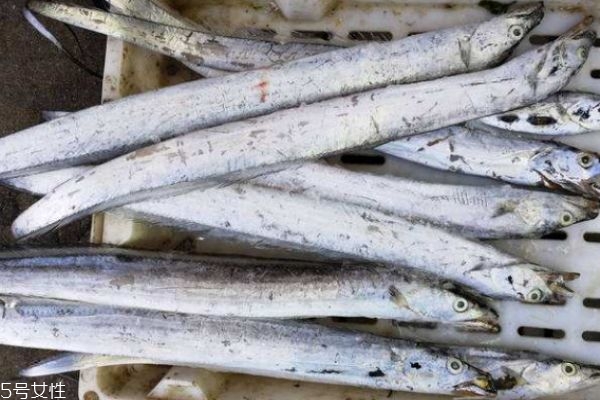 帶魚(yú)有什么營(yíng)養(yǎng)價(jià)值呢 吃帶魚(yú)有什么好處呢 帶魚(yú)有什么營(yíng)養(yǎng)價(jià)值呢 吃帶魚(yú)有什么好處呢