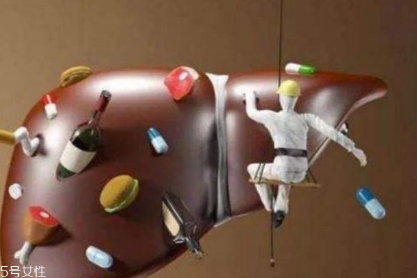 肝不好的人群有什么癥狀呢 肝不好應(yīng)該怎么辦呢 肝不好的人群有什么癥狀呢 肝不好應(yīng)該怎么辦呢