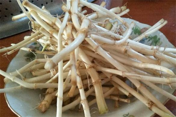 怎樣降低魚腥草的寒涼性 魚腥草與什么搭配祛寒 怎樣降低魚腥草的寒涼性 魚腥草與什么搭配祛寒