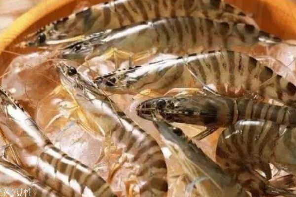 基圍蝦有什么營(yíng)養(yǎng)價(jià)值呢 基圍蝦的熱量是多少呢 基圍蝦有什么營(yíng)養(yǎng)價(jià)值呢 基圍蝦的熱量是多少呢