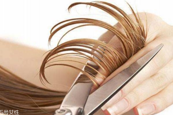經常剪頭發(fā)有什么好處 長時間不剪頭發(fā)有什么危害 經常剪頭發(fā)有什么好處 長時間不剪頭發(fā)有什么危害
