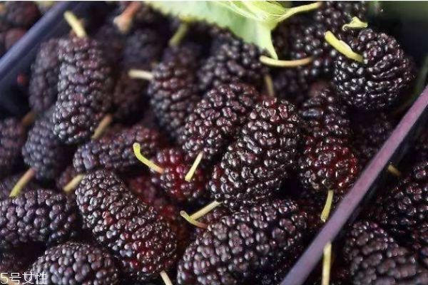 桑葚干有什么營(yíng)養(yǎng)價(jià)值呢 吃桑葚干有什么好處呢 桑葚干有什么營(yíng)養(yǎng)價(jià)值呢 吃桑葚干有什么好處呢