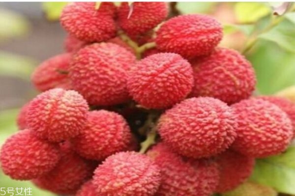 女性經(jīng)期可以吃荔枝嗎 孕婦可以吃荔枝嗎 女性經(jīng)期可以吃荔枝嗎 孕婦可以吃荔枝嗎