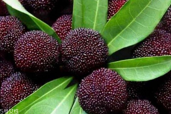 楊梅有什么營(yíng)養(yǎng)價(jià)值呢 吃楊梅有什么好處呢 楊梅有什么營(yíng)養(yǎng)價(jià)值呢 吃楊梅有什么好處呢