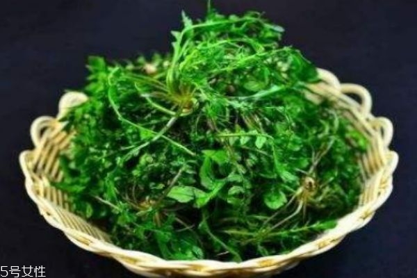 薺菜有什么營養(yǎng)價值呢 吃薺菜有什么好處呢 薺菜有什么營養(yǎng)價值呢 吃薺菜有什么好處呢