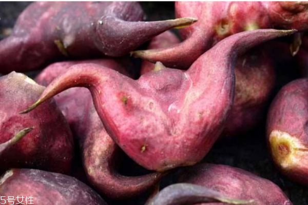 吃菱角有什么注意事項嗎 菱角可以怎么吃呢 吃菱角有什么注意事項嗎 菱角可以怎么吃呢