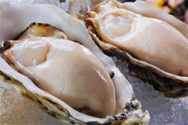 生蠔冷凍還是冷藏 帶殼的生蠔冷藏可以保存多久 生蠔冷凍還是冷藏 帶殼的生蠔冷藏可以保存多久