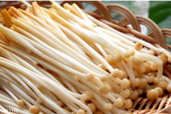 金針菇有什么營養(yǎng)價值呢 金針菇生長在什么環(huán)境下呢 金針菇有什么營養(yǎng)價值呢 金針菇生長在什么環(huán)境下呢