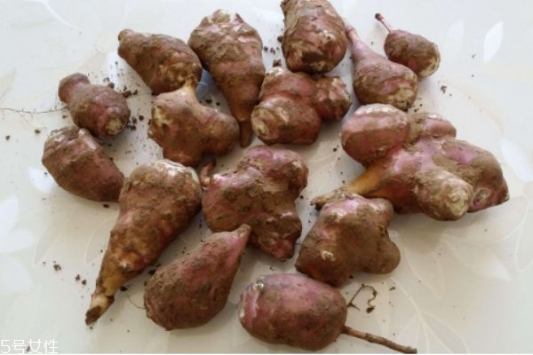 菊芋有什么營養(yǎng)價值呢 菊芋有什么好處呢 菊芋有什么營養(yǎng)價值呢 菊芋有什么好處呢