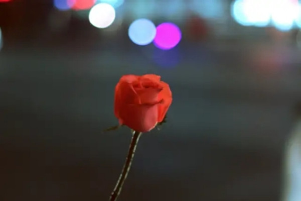 暗戀一個(gè)人會(huì)有哪些表現(xiàn) 怎么知道自己被異性暗戀了 暗戀一個(gè)人會(huì)有哪些表現(xiàn) 怎么知道自己被異性暗戀了