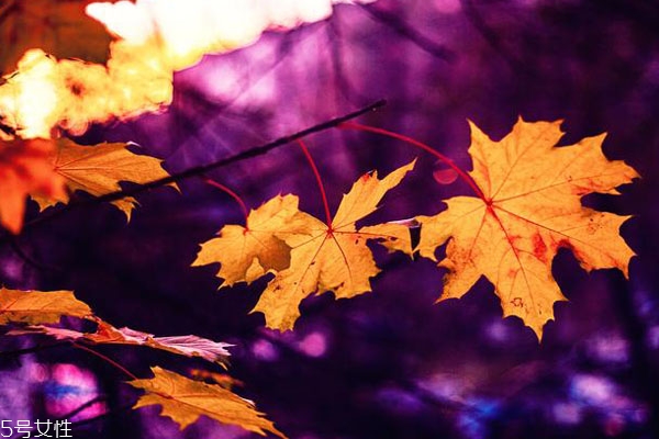 不敢和喜歡的人說話怎么辦 怎么和異性聊天找話題 不敢和喜歡的人說話怎么辦 怎么和異性聊天找話題