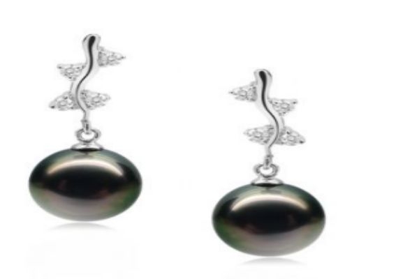 什么是黑珍珠呢 黑珍珠的功效有什么呢 什么是黑珍珠呢 黑珍珠的功效有什么呢