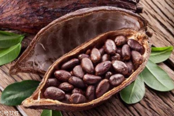 什么是可可果呢 可可果有什么作用呢 什么是可可果呢 可可果有什么作用呢