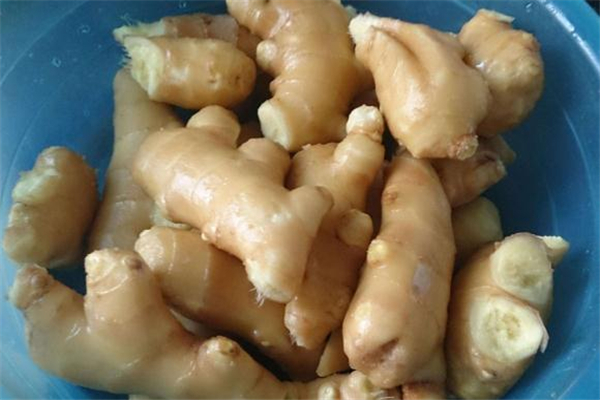 生姜能解酒嗎 生姜怎么吃解酒 生姜能解酒嗎 生姜怎么吃解酒