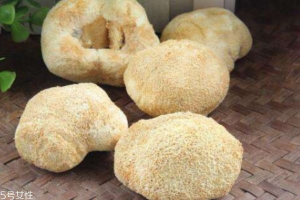 什么是猴頭菇呢 猴頭菇有什么營養(yǎng)價格呢 什么是猴頭菇呢 猴頭菇有什么營養(yǎng)價格呢